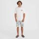 9. O'Neill Beach Graphic T-Shirt M 92800613968