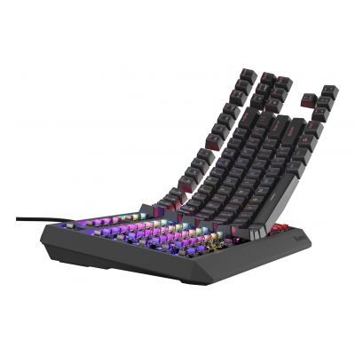 5. GENESIS Thor 230 TKL Gaming Keyboard USB QWERTY US English Black