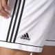 3. Adidas Squadra 17 M BJ9227 football shorts