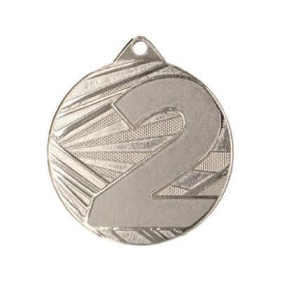 Silver Medal – 2nd Place