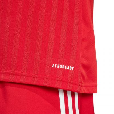 7. adidas Campeon 25 Jersey M JF6058