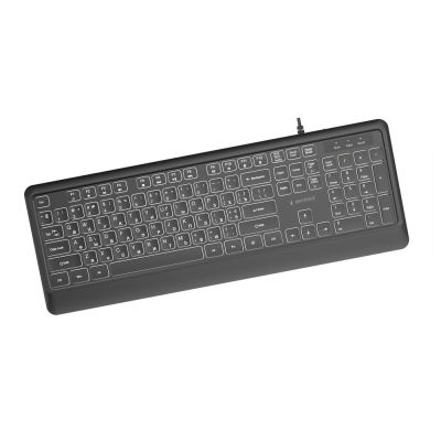 2. GEMBIRD SLIM WIRED KEYBOARD WITH BACKLIGHT, BLACK, RU LAYOUT