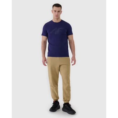 2. Men's T-shirt 4F 4FWMM00TTSHM2257-31S