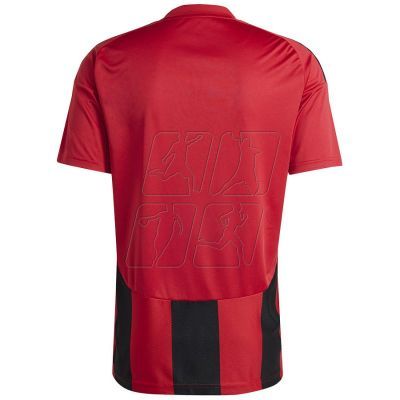 2. Adidas Striped 24 JSY M T-shirt IW4556