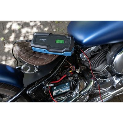 9. Ansmann 1001-0146 Vehicle Charger 6 - 14 V Black