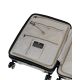 20. SwissBags Echo Cabin Suitcase 55 cm 17782 Champagne