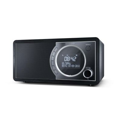Sharp DR-450 Personal Digital Black Radio, Stainless Steel