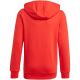 5. Adidas Essentials Big Logo Hoodie Jr GN4037