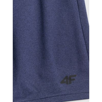 2. Men's quick-drying training shorts 4F 4FWSS26TFSHM1277-31M