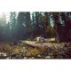3. Chainsaw 50cm, 54V DCMCS575X1 DEWALT