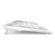 5. Sharkoon OfficePal K30W wh keyboard Home/Office USB QWERTZ German White