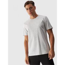 Men's regular printed T-shirt 4F 4FWMM00TTSHM1844-27M