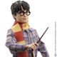 4. Harry Potter GXW31 Action/Collectible Figure