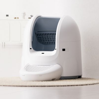 195. THORN+FIT Cast Iron Coated Kettlebell 6kg