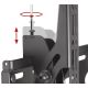 2. B-Tech BT8426/B Ceiling Mount