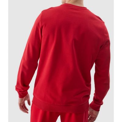 2. 4F M 4FWSS24TSWSM1181-61S sweatshirt