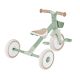 3. Tricycle/balance bike LEARNING TRIKE 2in1 PLUS ECOLOGIC (737-109)
