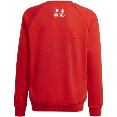 2. Adidas FC Bayern Crew Jr HF1353 sweatshirt