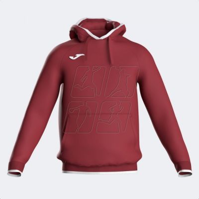 Joma Combi Premium Hoodie 104495.672