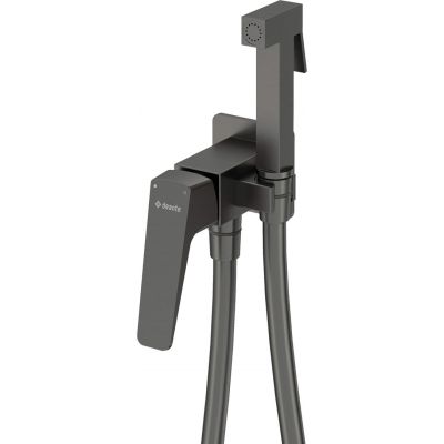 Concealed bidet tap