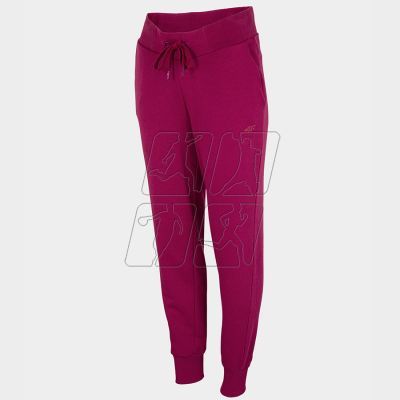 Pants 4F W H4L22-SPDD350 53S