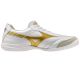 2. Mizuno Morelia Sala Pro Elite IN Q1GA261250 shoes