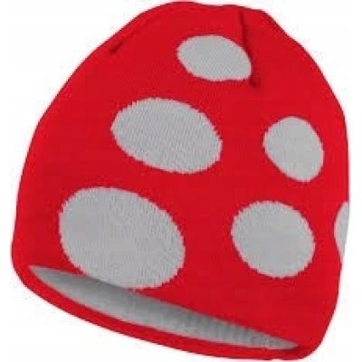 Craft Big Logo Cap red winter hat