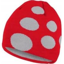 Craft Big Logo Cap red winter hat