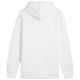 3. Puma Ess+ Logo LAB Gradient Hoodie FL M 681775 02