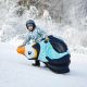 21. Meteor Penguin 16763 snow slide