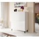 4. ABETO bookcase 100.5x40xH121.5 white/white gloss