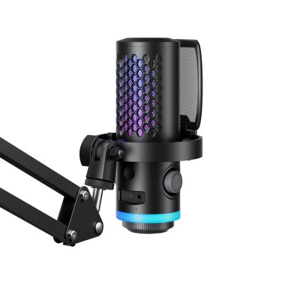 2. BOYA CastMic G40B Wired Gaming Microphone with Arm, USB-C - Black