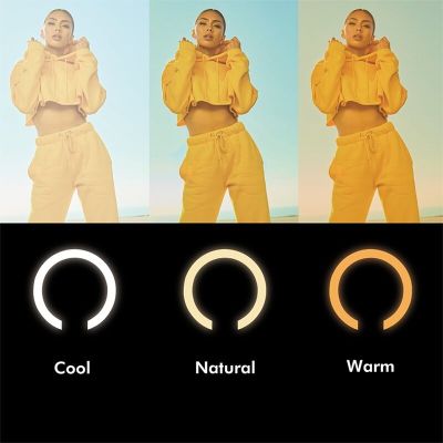 9. LogiLink AA0156 95 LED light ring