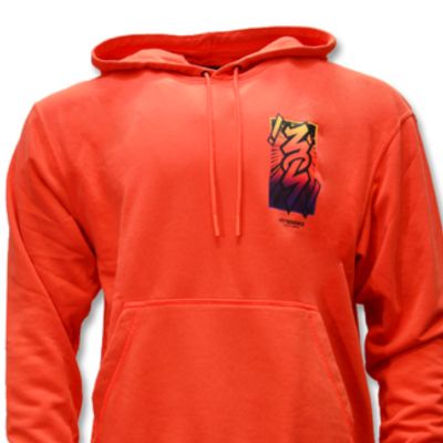3. Air Jordan Zion Dri-FIT Performance Fleece Hoodie - DH0598-635