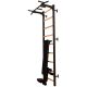 59. GYMNASTIC LADDER WITH A HAND BAR AND A BENCH KIT 723B