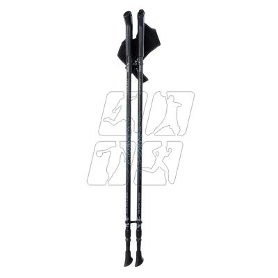 Nordic walking poles Martes Essentials Centaurus 92800350310