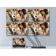 2. Equipment HDMI Video Splitter 4x HDMI (332717)