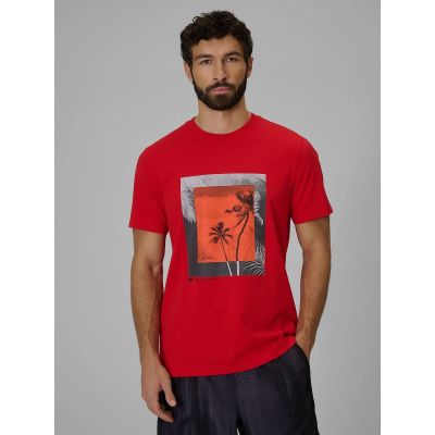 Men's regular printed T-shirt 4F 4FWSS26TTSHM3034-62S