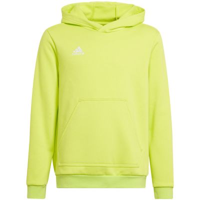 5. Adidas Entrada 22 Hoody Jr HC5069 sweatshirt