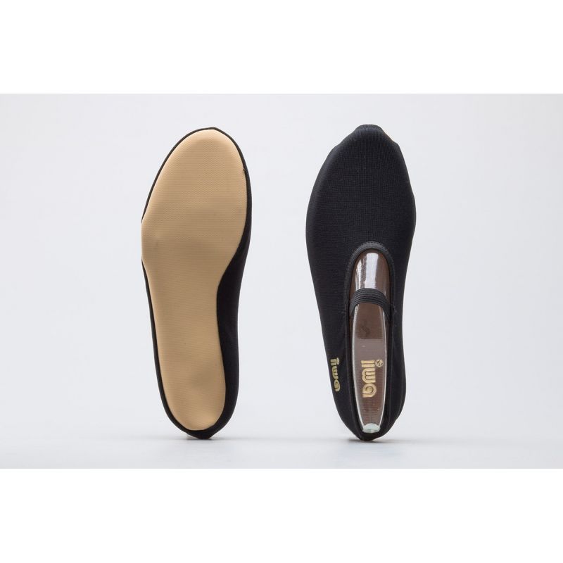 7. IWA 250 ballet shoes