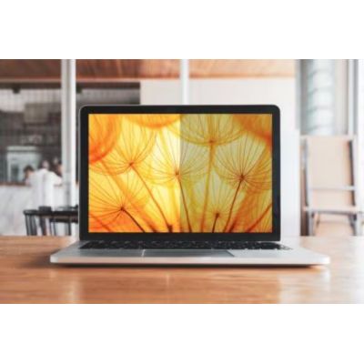 4. 3M BP145W1B Screen Filter for 36.8 cm (14.5") Laptop Frameless Privacy Filter for Display