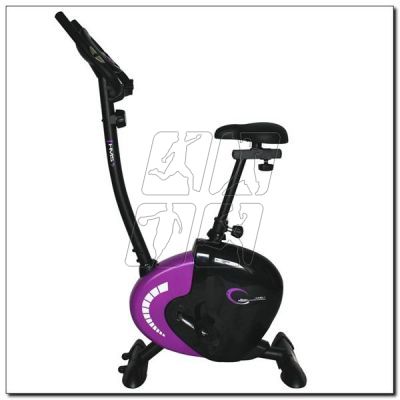 Magnetic bike purple HMS M9239V