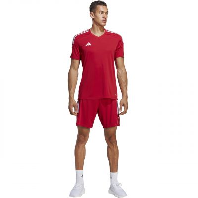 5. adidas Tiro 23 League M IB8082 shorts
