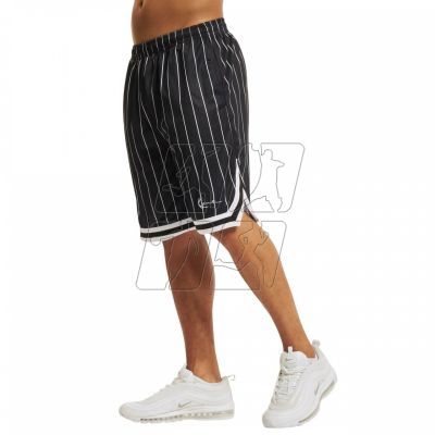 8. Karl Kani Small Signature Pinstripe Mesh Short M 6014920