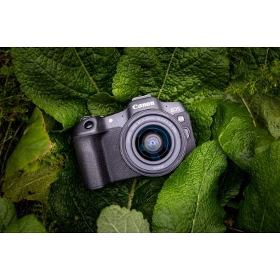 7. Canon EOS R8 - RF 24-50mm Digital Camera