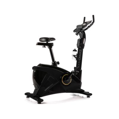 ZIPRO Rook Gold Magnetic Bike Trainer