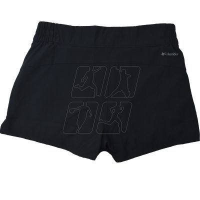 2. Columbia Alpine Chill Zero W 1991894010 Shorts