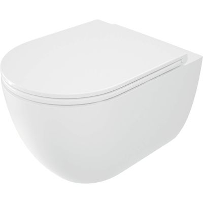 Rimless toilet bowl with seat