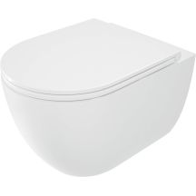 Rimless toilet bowl with seat