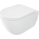 Rimless toilet bowl with seat